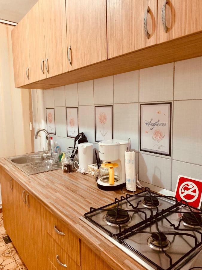 Ultracentral Apartment With All You Need: Wifi, Tv, Ac, Washer, Coffe Timisoara Exterior photo